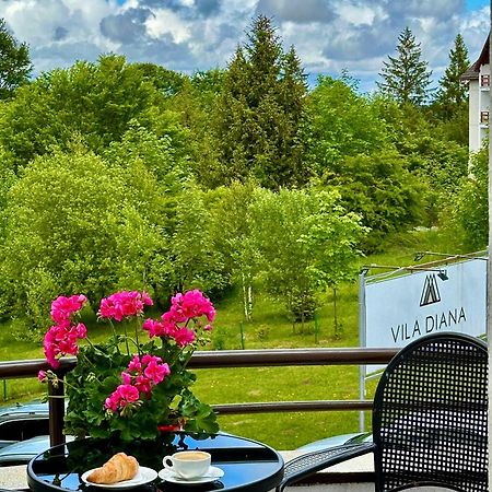 Vila Diana - Poiana Braşov Dış mekan fotoğraf