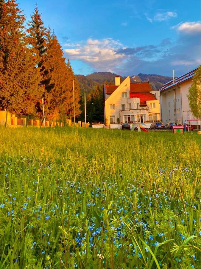 Vila Diana - Poiana Braşov Dış mekan fotoğraf
