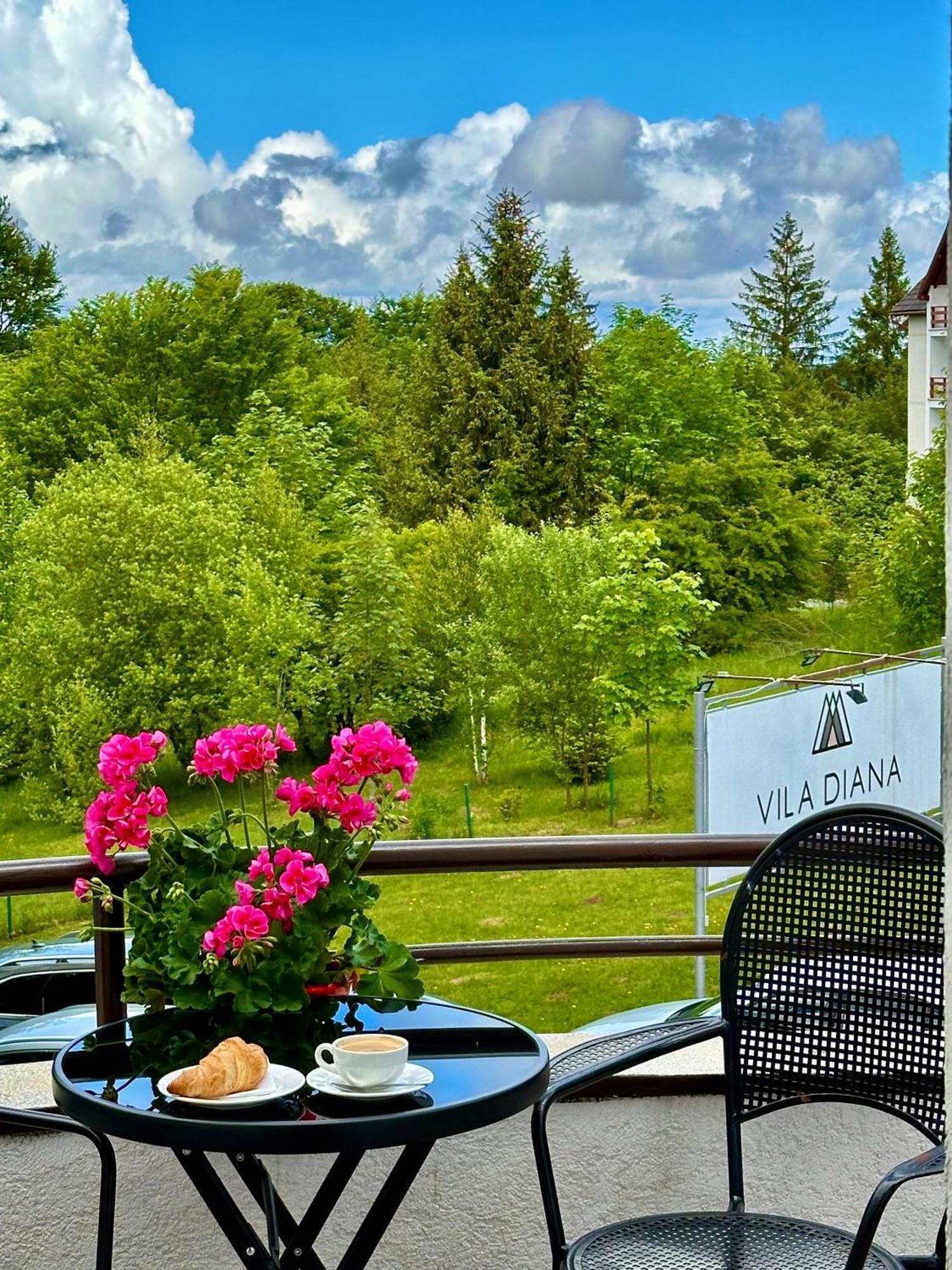 Vila Diana - Poiana Braşov Dış mekan fotoğraf